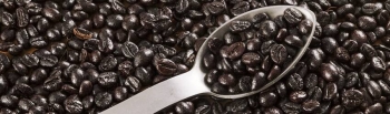 Grains
