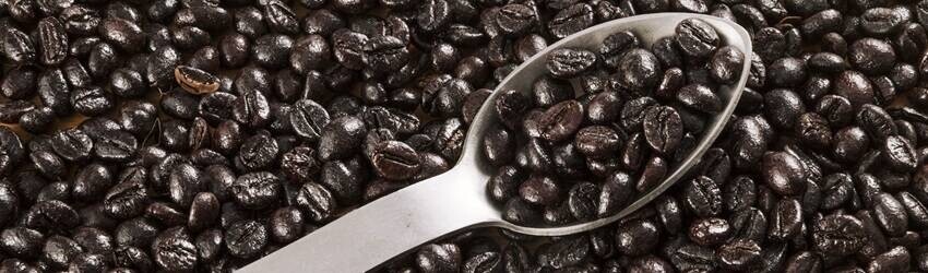 Grains de café gras