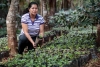 100% arabica Le Salvador - Café fraîchement torréfié