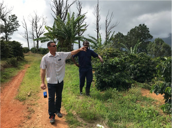 Jamaican Blue Mountain №1 - Grains de café frais - 100 g