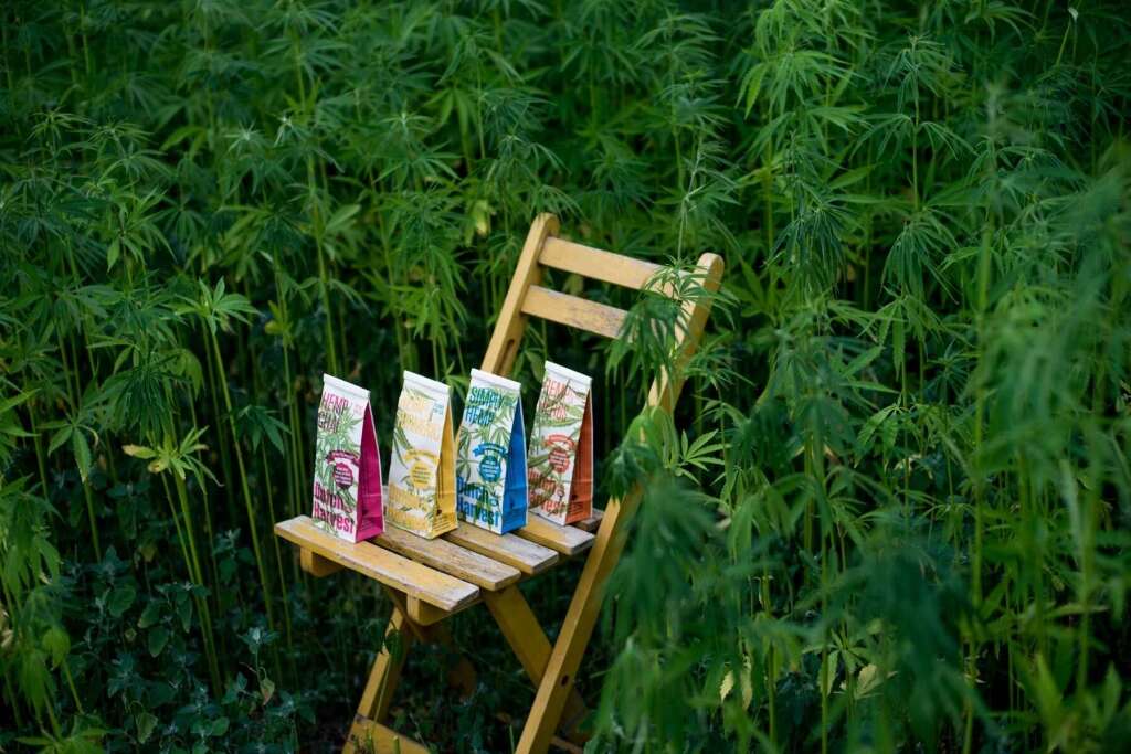 Simply Hemp - Thé au chanvre pur 40 gram - Thé en vrac Dutch Harvest