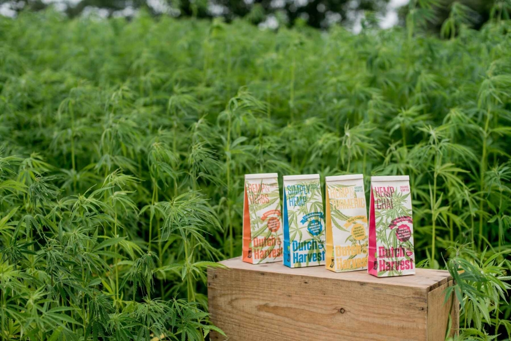 Hemp & Herbs - Mélange de thé à l'Hennep et aux Herbes 40 gram - Dutch Harvest thé en vrac