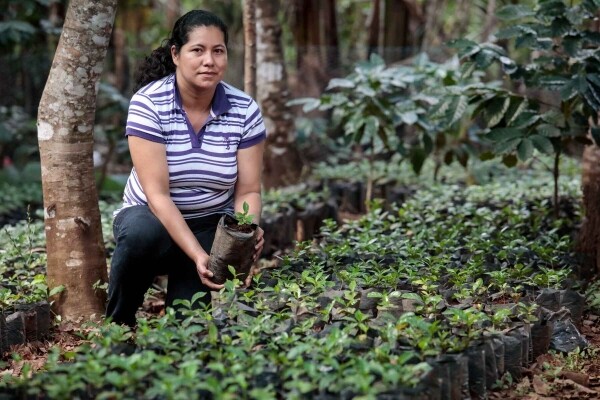 100% arabica Le Salvador - Café fraîchement torréfié