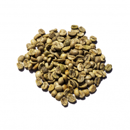 Brésil Santos NY 2/3 17/18 GC - grains de café non torréfiés - 1 kilo