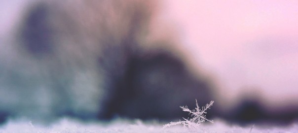 Lancer du café chaud en l'air… à -32 degrés